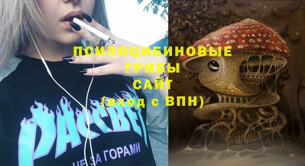 ешки Балахна